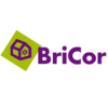 bricor logo